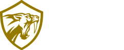 First Hub Games